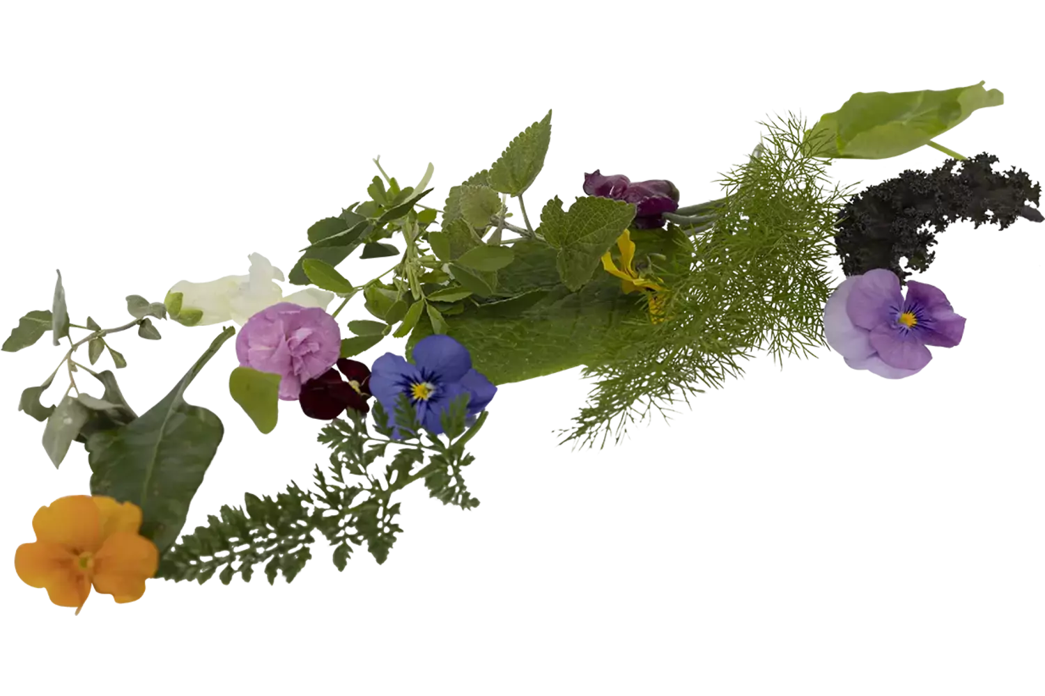 Bonte salade met bloemen 500gr stuk 1